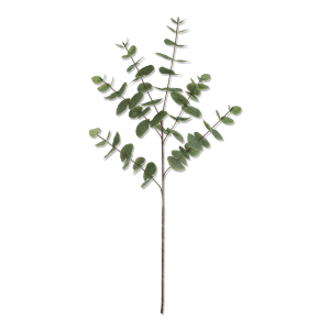 Artificial Eucalyptus Stem