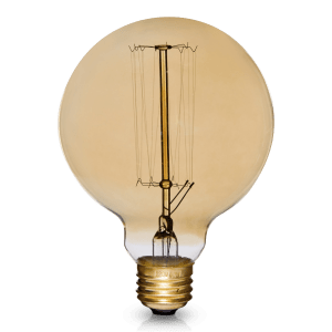 Vintage Edison Globe Light Bulb