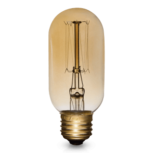 Vintage Edison Tubular Light Bulb
