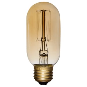 Vintage Edison Tubular Light Bulb