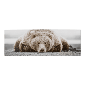 Sleepy Bear Printed Canvas