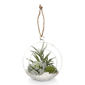 Hanging Terrarium with Artificial Succulent