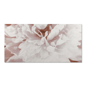 Blush Flower Printed Canvas