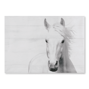 Horse On Planks Printed Canvas