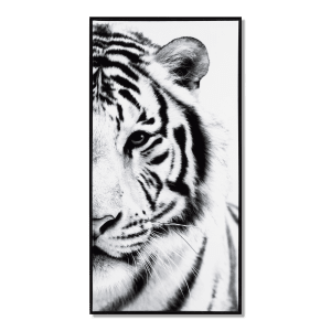 White Tiger Framed Art