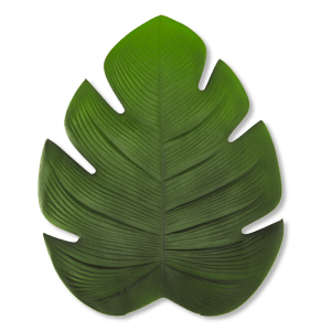 Monstera Leaf Placemat