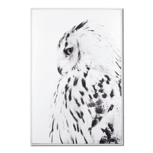 Shy Owl Printed Framed Art