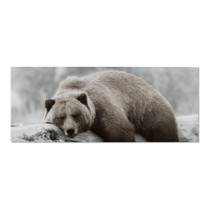 Sleepy Brown Bear Printed Canvas