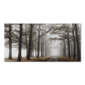 Mystical Pathway Printed Canvas