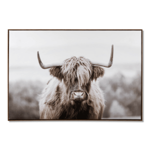 Cadre imprimé vache Highland