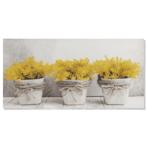 Yellow Floral Pots Printed Canvas