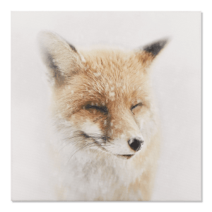 Smiling Fox Printed Canvas