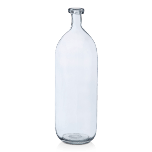 Glass Bottle Vase