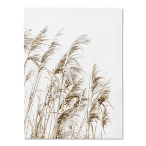 Wheat Field Printed Canvas