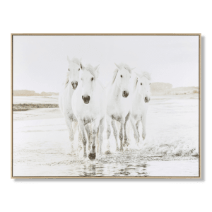 White Horses Framed Canvas