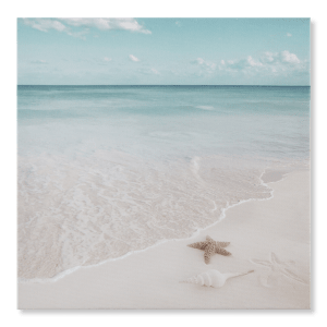 Tableau imprimé étoile de mer sur plage