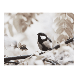 Chickadee in Tree Printed Canvas