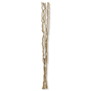 Bouquet de 5 tiges de jacinthe d'eau