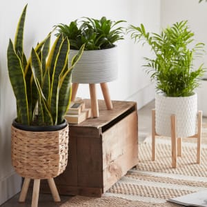 Natural Rattan Planter on Wooden Legs