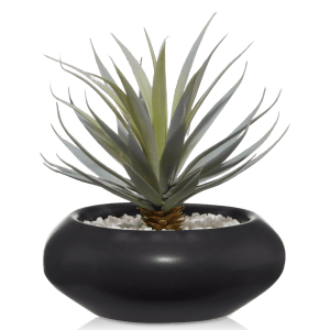 Ceramic Potted Greenery