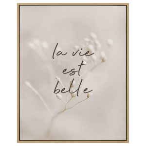 'La vie est belle' Typography Framed Art
