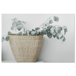Eucalyptus Basket Printed Canvas