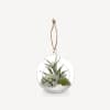 Hanging Terrarium with Artificial Succulent