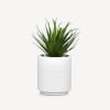 Ceramic Potted Tropical Plant