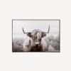 Furry Highland Cow Framed Art