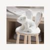 Rabbit Chair