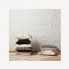 Dario Decorative Pillow 20" x 20"