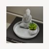 Plante avec Bouddha en ciment