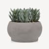 Artificial Succulent in Grey Pot