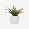 Artificial Plant in White Speckled Pot