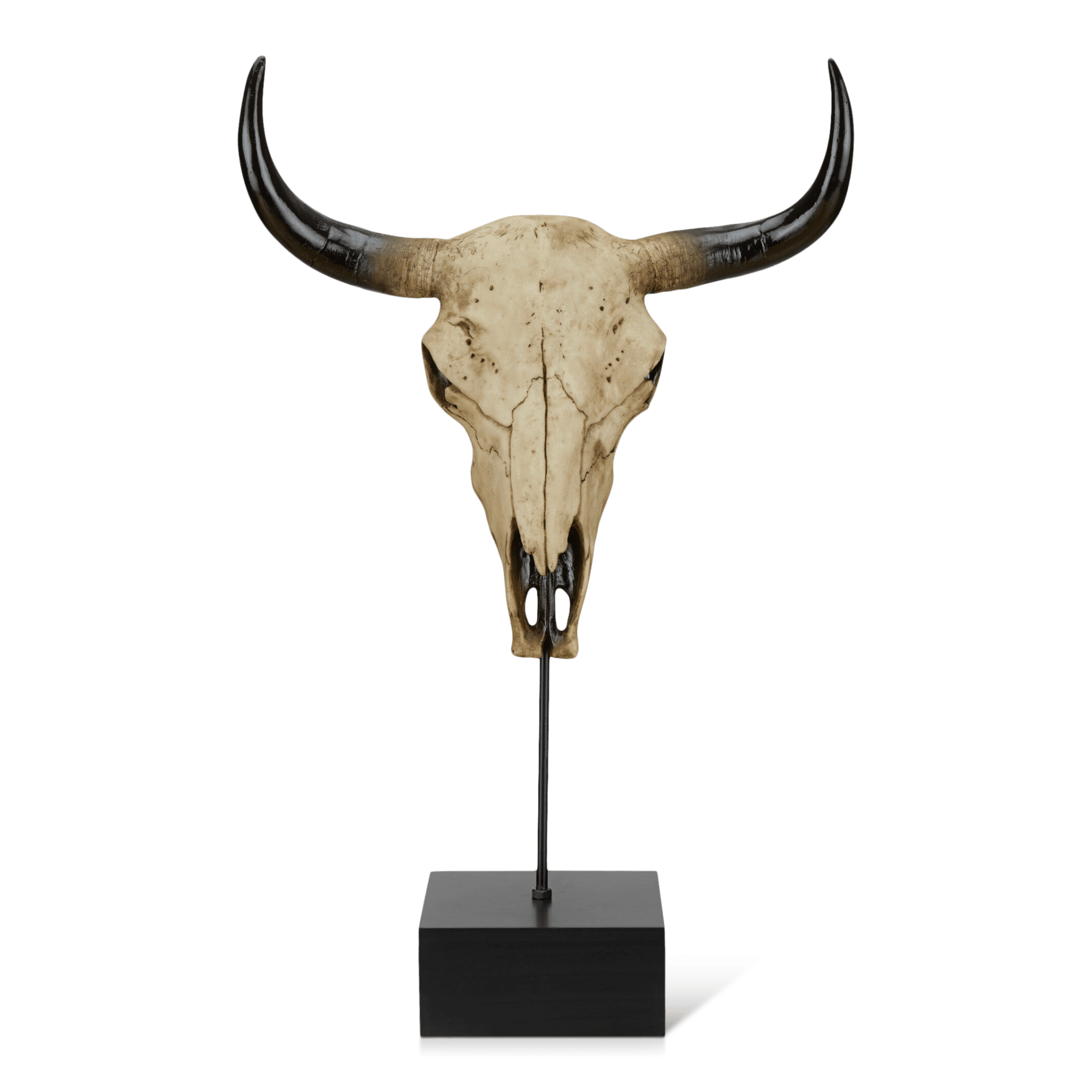 Decorative Bull Head on Stand