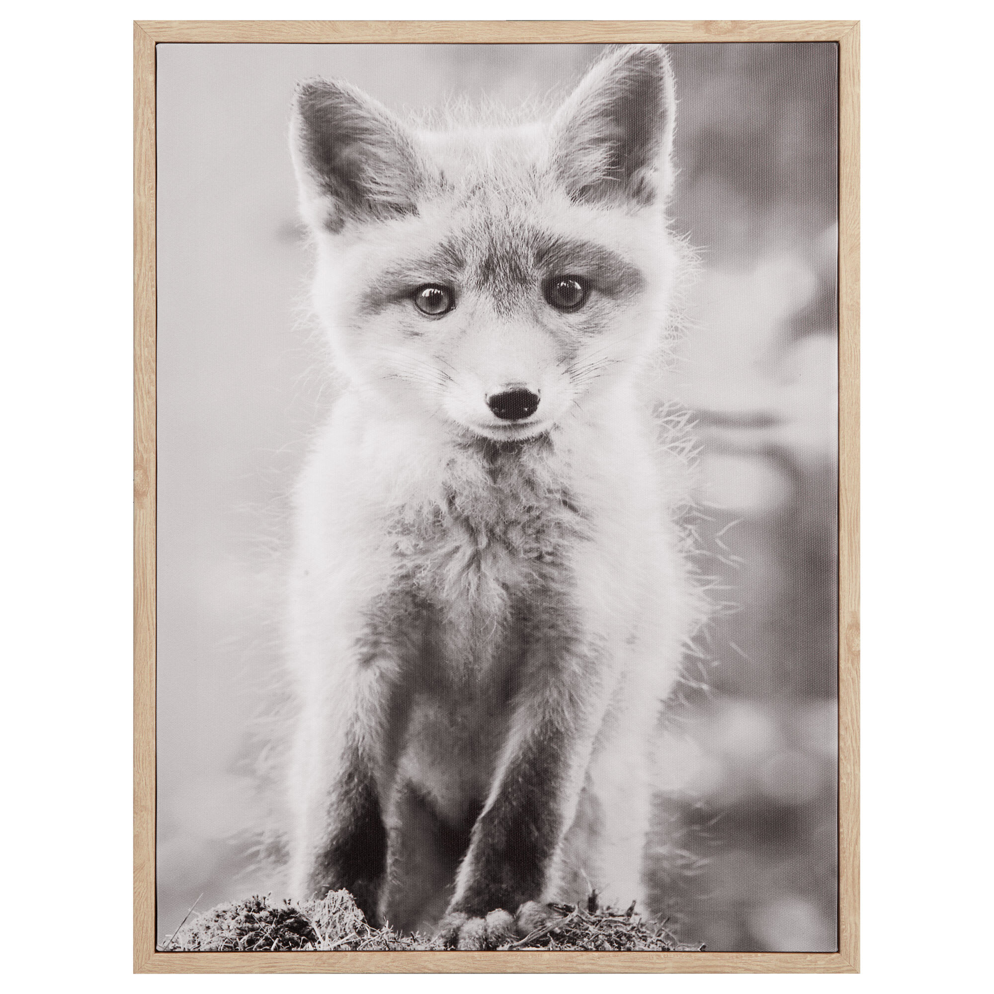 Baby Fox Framed Art