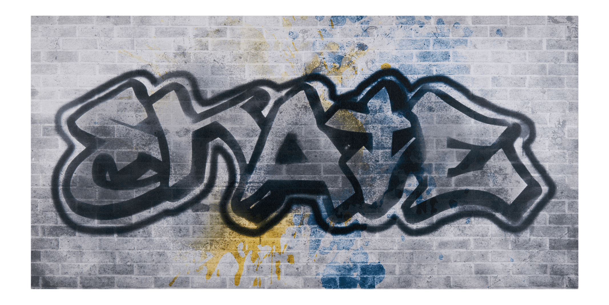 Skate Graffiti Printed Canvas
