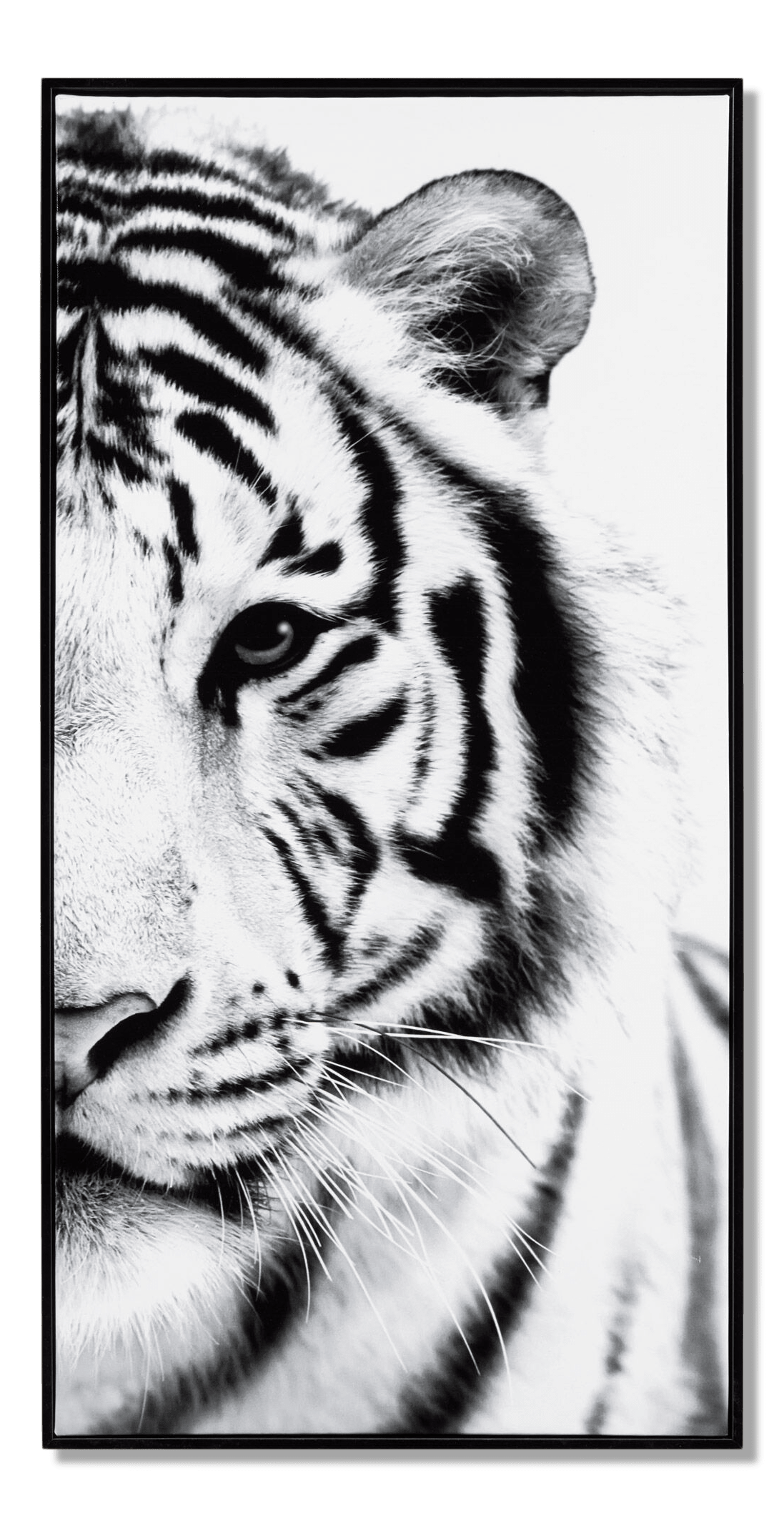 Cadre imprimé tigre blanc