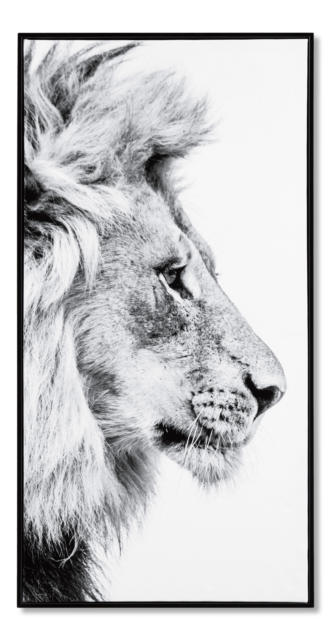 Cadre imprimé profil de lion