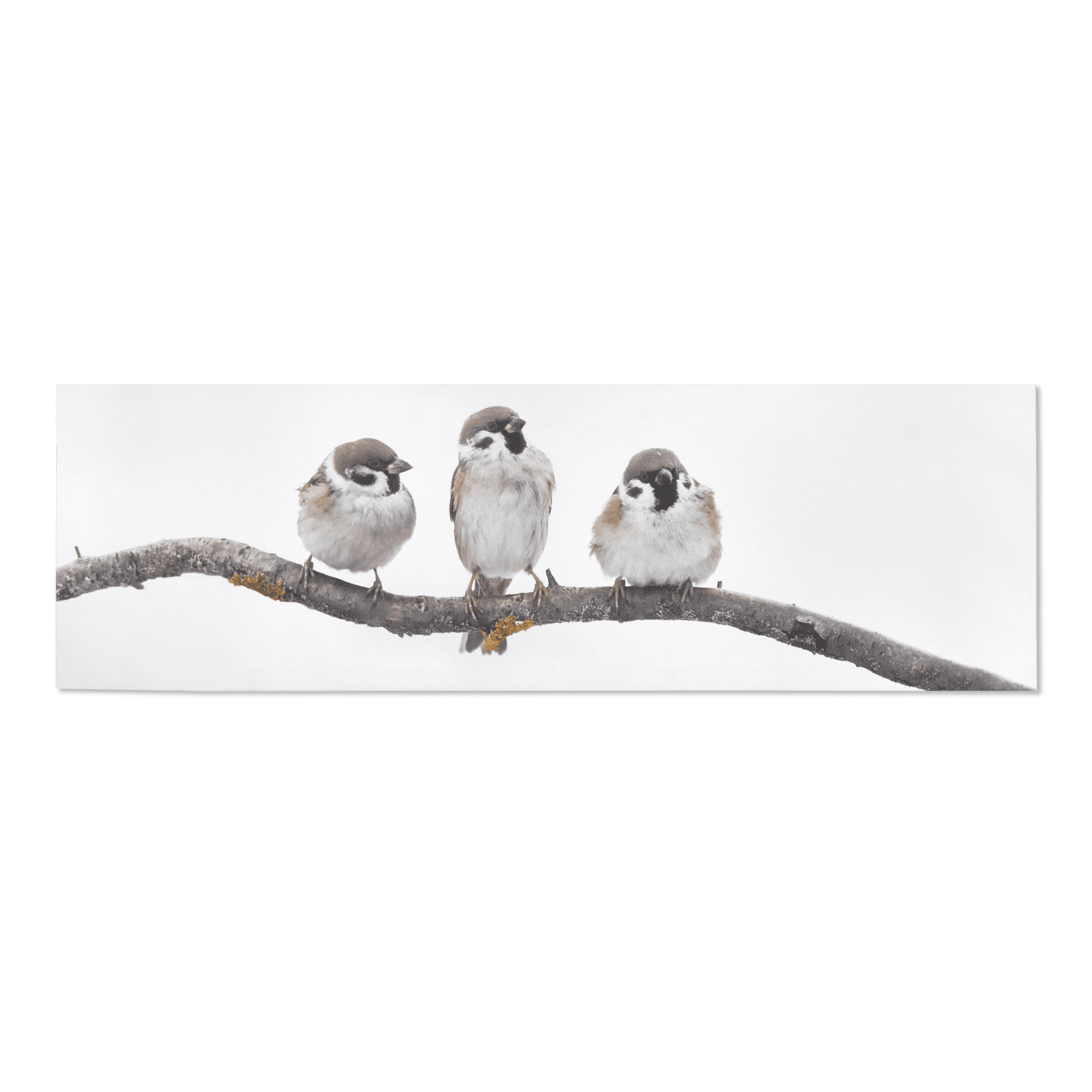 Tableau imprimé trois petits oiseaux perchés sur branche