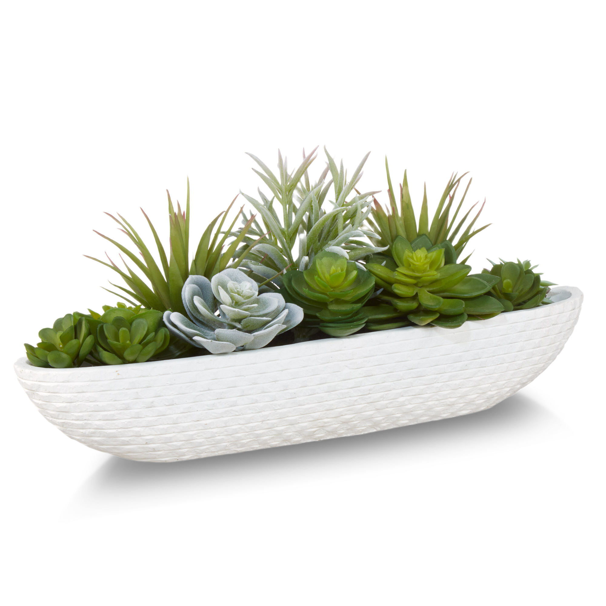 Succulents in Cement Tray