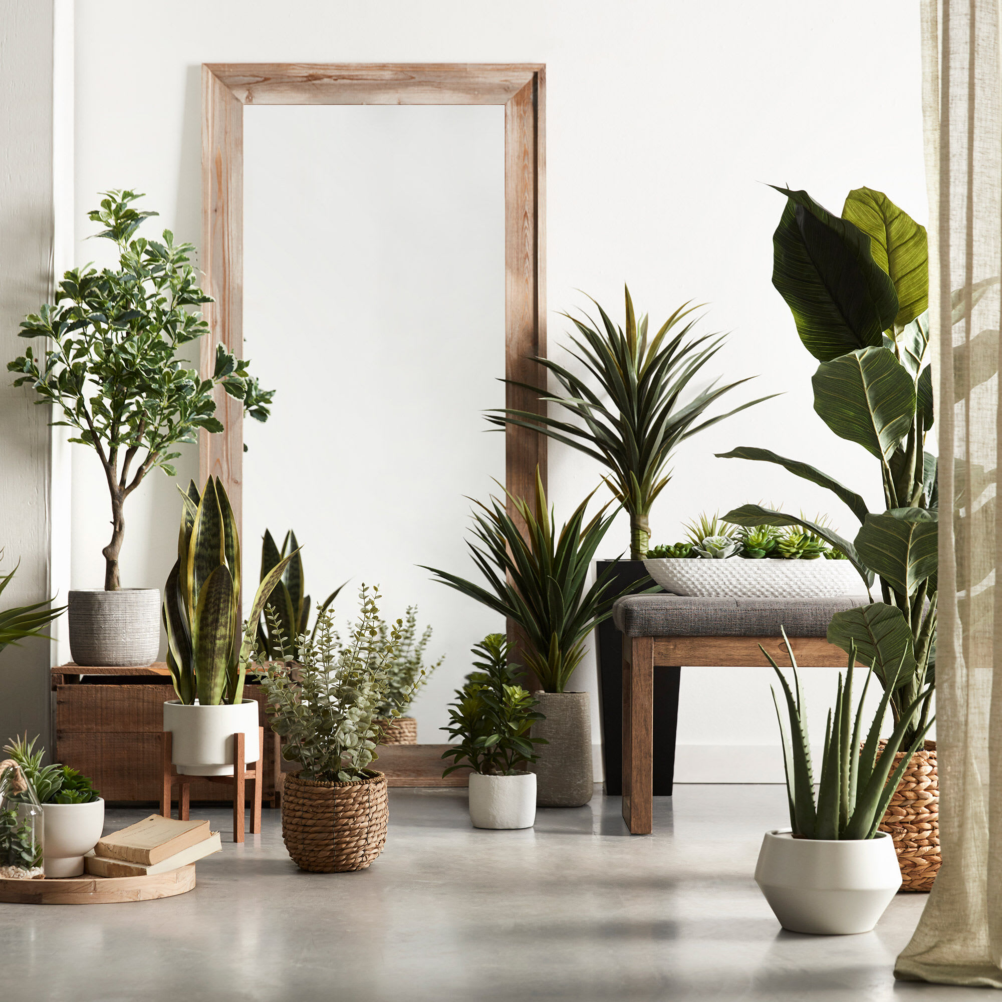 Buy Fake Plants Online 20 Stores With The Best Faux Greenery ...