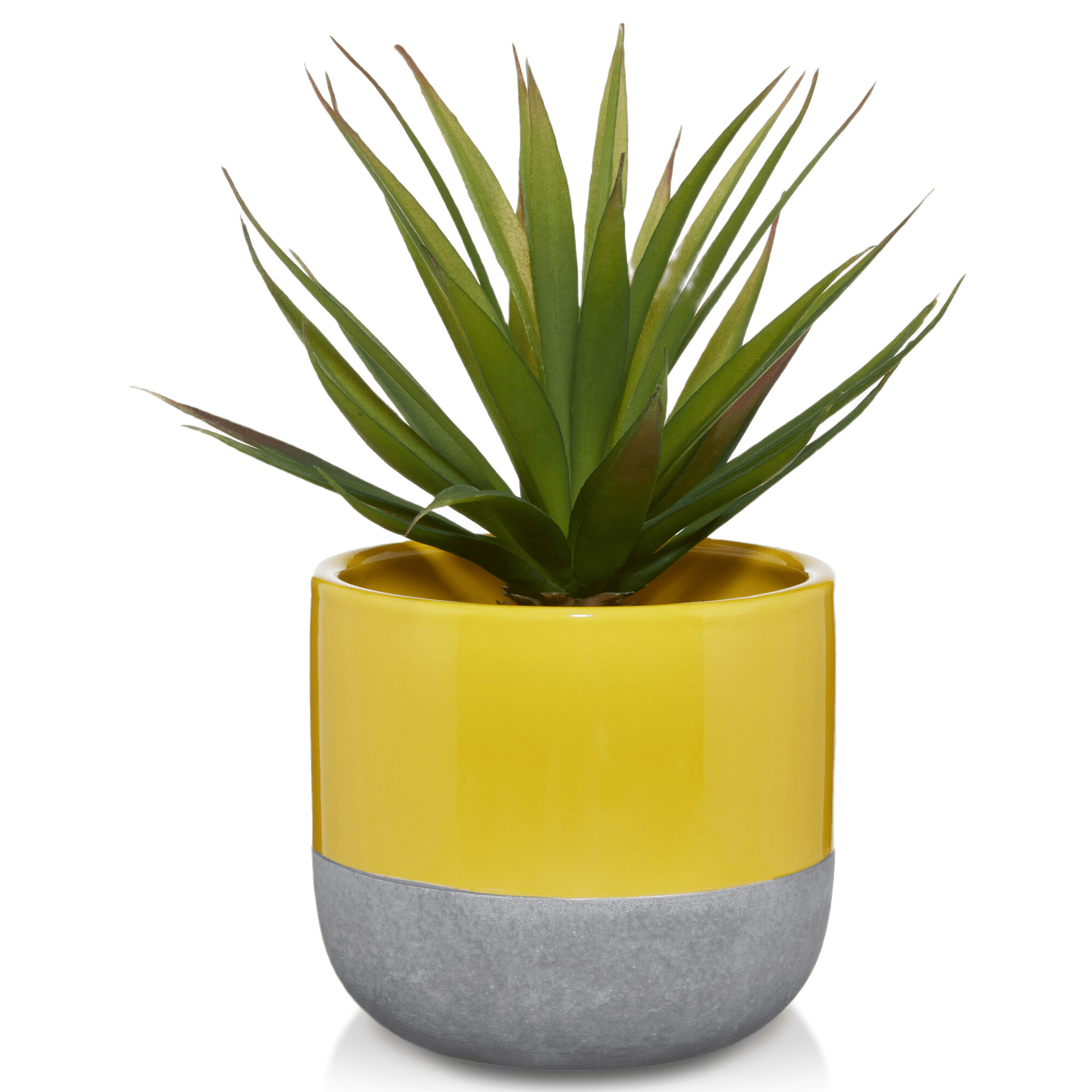 Ceramic Potted Grass