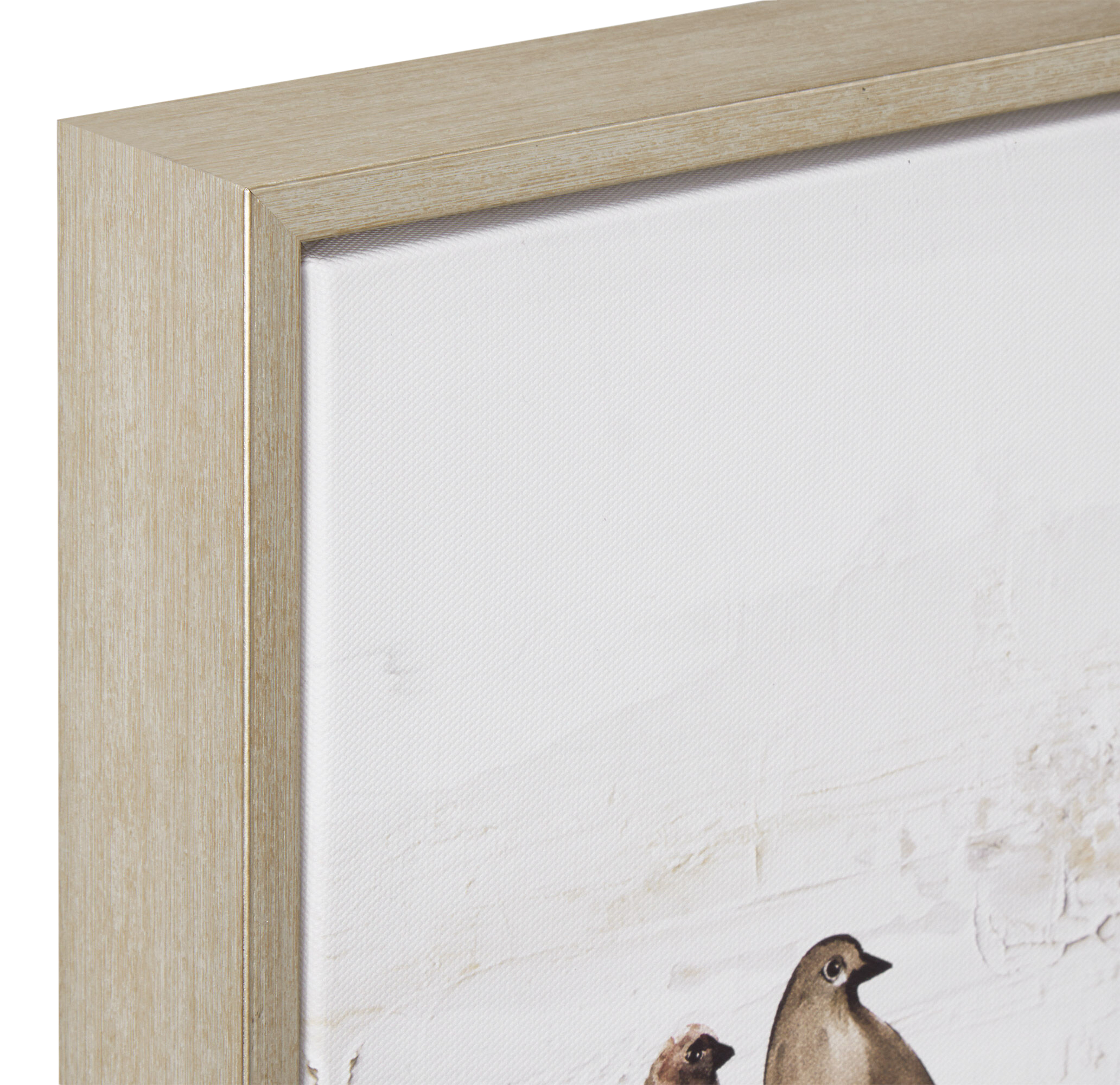 Birched Birds Printed Framed Art