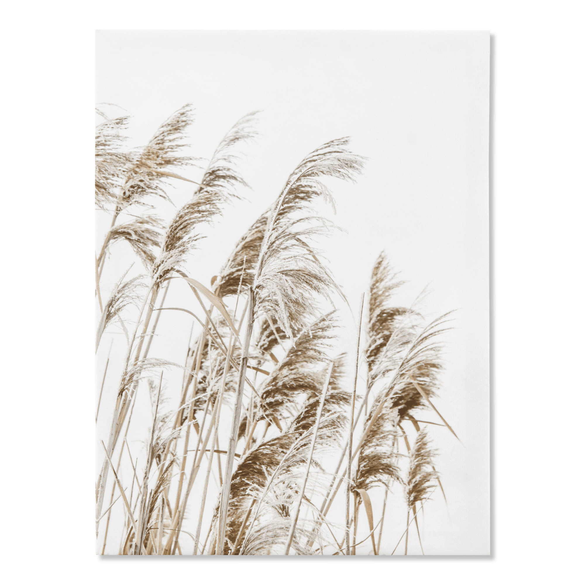 Tableau imprimé d'un champ de blé