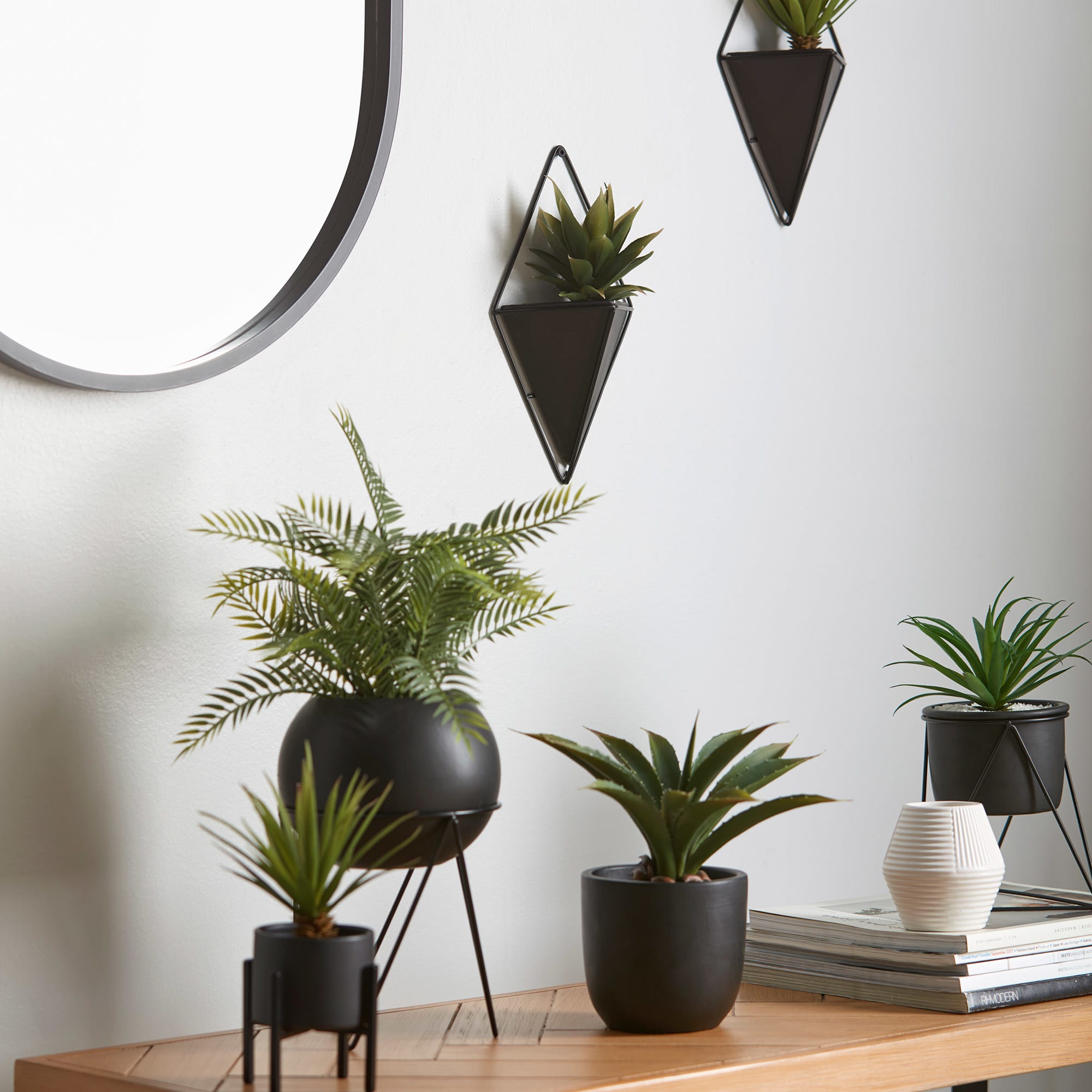 Hanging Tropical Plant in Black Pot