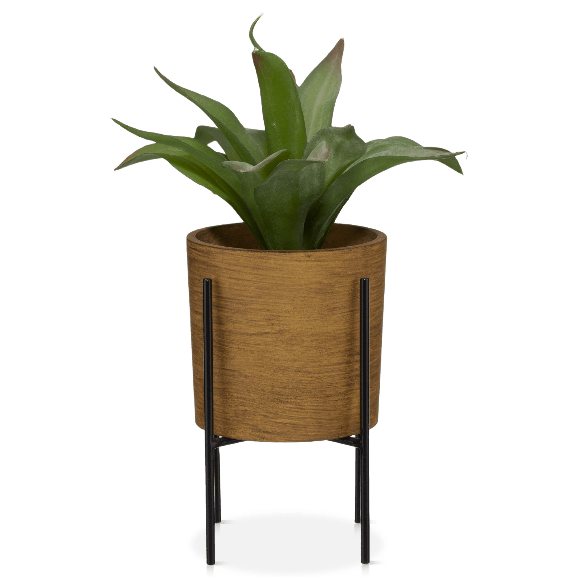 Plante en pot sur support métallique