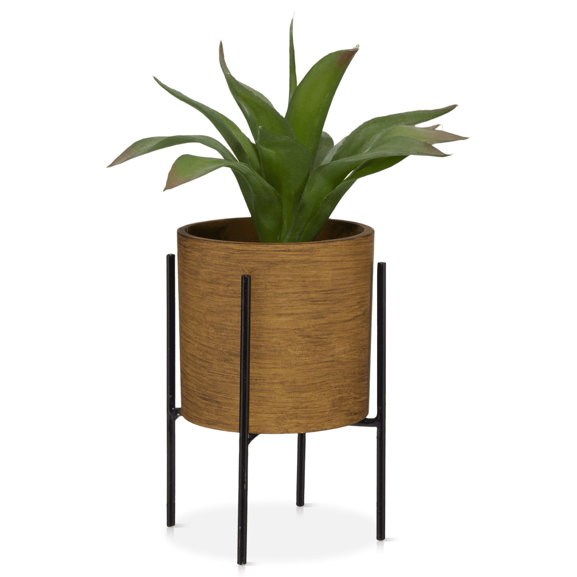 Plante en pot sur support métallique