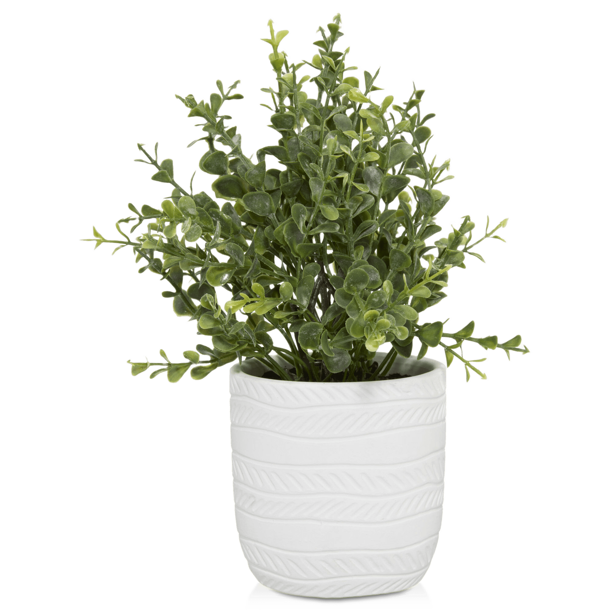 White Ceramic Potted Plant