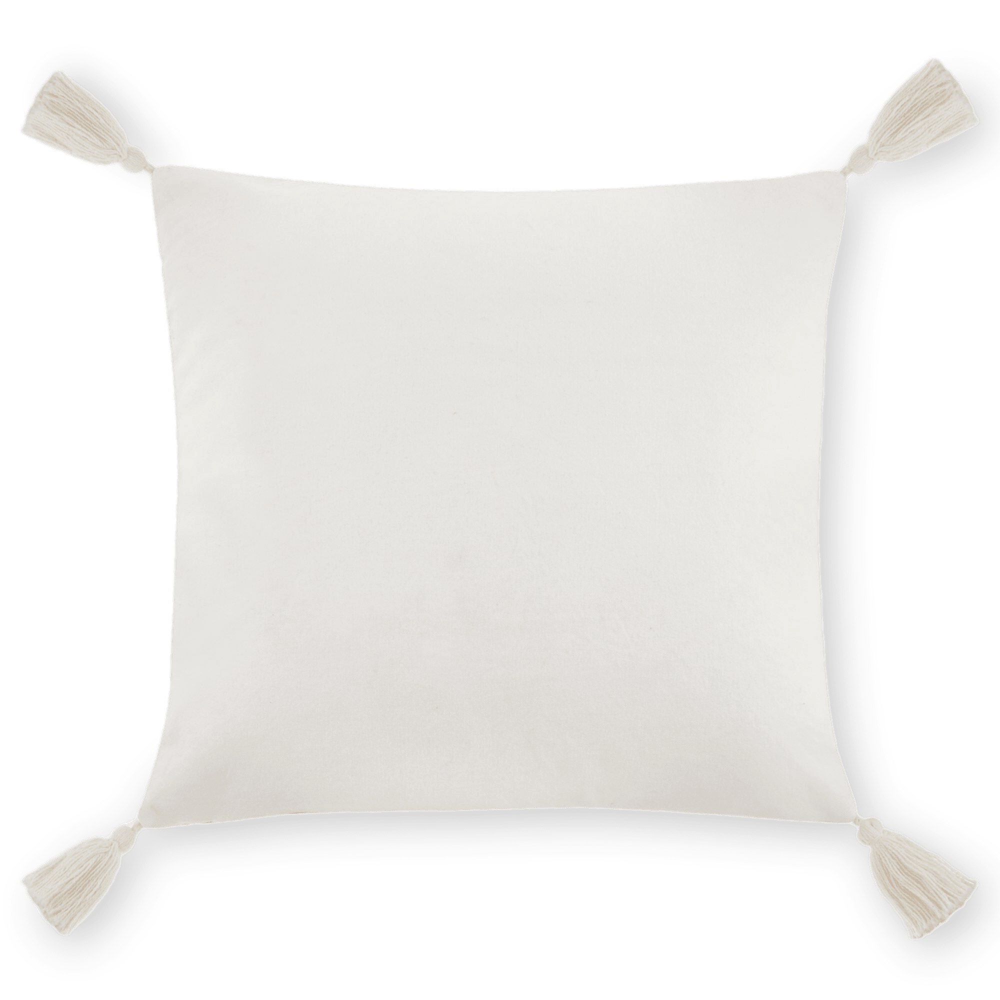 Noreen Decorative Tassel Pillow 